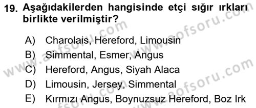 Hayvan Yetiştirme Dersi 2017 - 2018 Yılı (Vize) Ara Sınav Soruları 19. Soru
