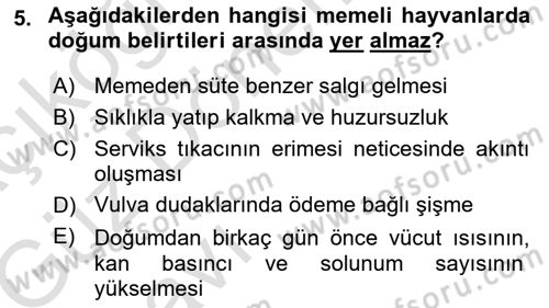 Hayvan Yetiştirme Dersi 2017 - 2018 Yılı (Vize) Ara Sınav Soruları 5. Soru