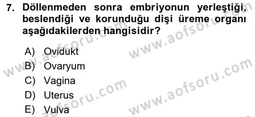 Hayvan Yetiştirme Dersi 2017 - 2018 Yılı (Vize) Ara Sınav Soruları 7. Soru