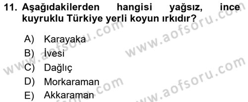 Hayvan Yetiştirme Dersi 2017 - 2018 Yılı (Final) Dönem Sonu Sınav Soruları 11. Soru