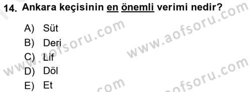 Hayvan Yetiştirme Dersi 2017 - 2018 Yılı (Final) Dönem Sonu Sınav Soruları 14. Soru