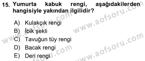Hayvan Yetiştirme Dersi 2017 - 2018 Yılı (Final) Dönem Sonu Sınav Soruları 15. Soru
