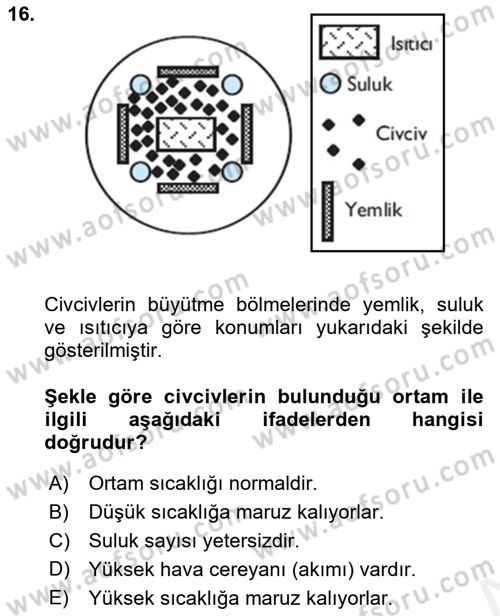 Hayvan Yetiştirme Dersi 2017 - 2018 Yılı (Final) Dönem Sonu Sınav Soruları 16. Soru