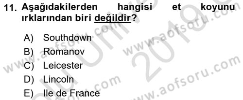 Hayvan Yetiştirme Dersi 2018 - 2019 Yılı 3 Ders Sınav Soruları 11. Soru