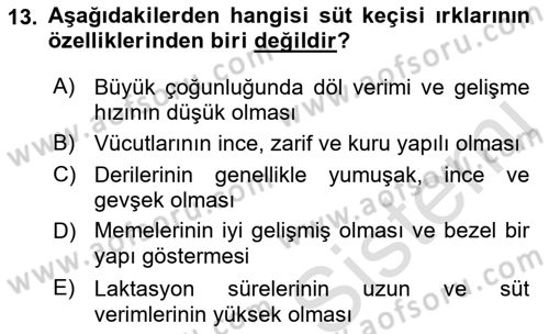 Hayvan Yetiştirme Dersi 2018 - 2019 Yılı 3 Ders Sınav Soruları 13. Soru