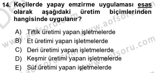 Hayvan Yetiştirme Dersi 2018 - 2019 Yılı 3 Ders Sınav Soruları 14. Soru