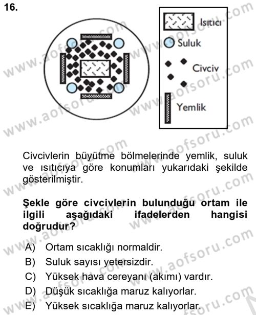 Hayvan Yetiştirme Dersi 2018 - 2019 Yılı 3 Ders Sınav Soruları 16. Soru