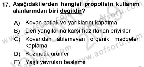 Hayvan Yetiştirme Dersi 2018 - 2019 Yılı 3 Ders Sınav Soruları 17. Soru
