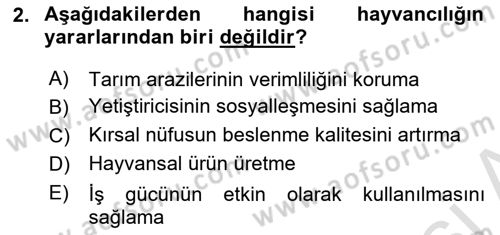 Hayvan Yetiştirme Dersi 2018 - 2019 Yılı 3 Ders Sınav Soruları 2. Soru