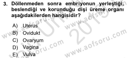 Hayvan Yetiştirme Dersi 2018 - 2019 Yılı 3 Ders Sınav Soruları 3. Soru