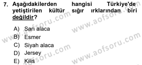 Hayvan Yetiştirme Dersi 2018 - 2019 Yılı 3 Ders Sınav Soruları 7. Soru