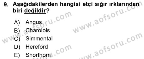 Hayvan Yetiştirme Dersi 2018 - 2019 Yılı 3 Ders Sınav Soruları 9. Soru