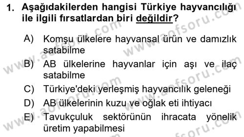 Hayvan Yetiştirme Dersi 2018 - 2019 Yılı (Vize) Ara Sınav Soruları 1. Soru