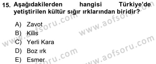 Hayvan Yetiştirme Dersi 2018 - 2019 Yılı (Vize) Ara Sınav Soruları 15. Soru
