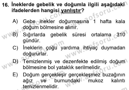 Hayvan Yetiştirme Dersi 2018 - 2019 Yılı (Vize) Ara Sınav Soruları 16. Soru