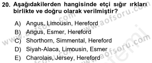 Hayvan Yetiştirme Dersi 2018 - 2019 Yılı (Vize) Ara Sınav Soruları 20. Soru