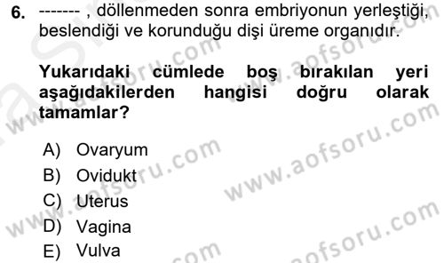 Hayvan Yetiştirme Dersi 2018 - 2019 Yılı (Vize) Ara Sınav Soruları 6. Soru