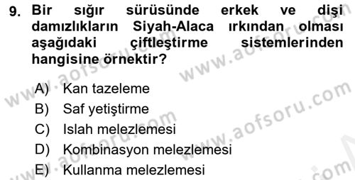 Hayvan Yetiştirme Dersi 2018 - 2019 Yılı (Vize) Ara Sınav Soruları 9. Soru