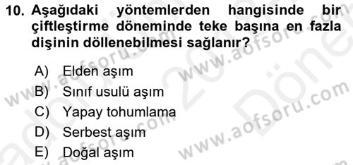 Hayvan Yetiştirme Dersi 2018 - 2019 Yılı (Final) Dönem Sonu Sınav Soruları 10. Soru