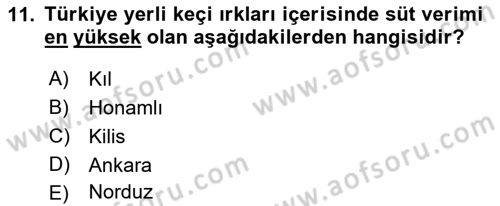 Hayvan Yetiştirme Dersi 2018 - 2019 Yılı (Final) Dönem Sonu Sınav Soruları 11. Soru
