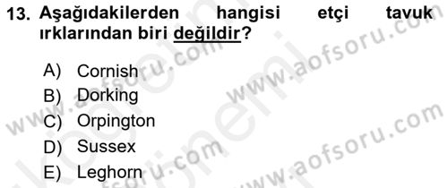 Hayvan Yetiştirme Dersi 2018 - 2019 Yılı (Final) Dönem Sonu Sınav Soruları 13. Soru