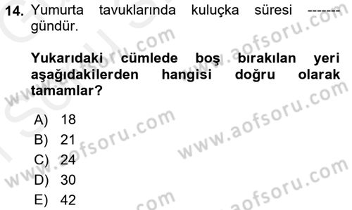 Hayvan Yetiştirme Dersi 2018 - 2019 Yılı (Final) Dönem Sonu Sınav Soruları 14. Soru