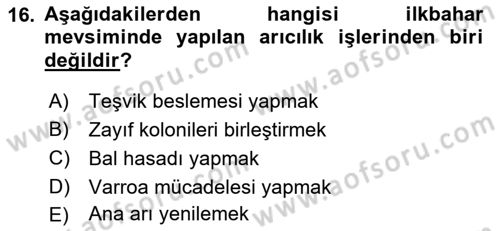 Hayvan Yetiştirme Dersi 2018 - 2019 Yılı (Final) Dönem Sonu Sınav Soruları 16. Soru