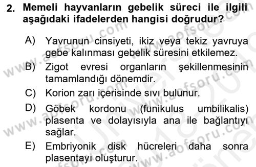 Hayvan Yetiştirme Dersi 2018 - 2019 Yılı (Final) Dönem Sonu Sınav Soruları 2. Soru