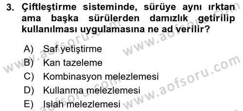 Hayvan Yetiştirme Dersi 2018 - 2019 Yılı (Final) Dönem Sonu Sınav Soruları 3. Soru