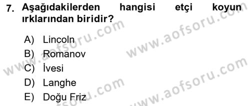 Hayvan Yetiştirme Dersi 2018 - 2019 Yılı (Final) Dönem Sonu Sınav Soruları 7. Soru