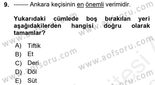 Hayvan Yetiştirme Dersi 2018 - 2019 Yılı (Final) Dönem Sonu Sınav Soruları 9. Soru