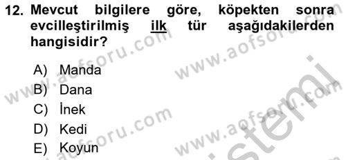 Hayvan Yetiştirme Dersi 2018 - 2019 Yılı Yaz Okulu Sınav Soruları 12. Soru