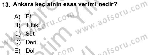 Hayvan Yetiştirme Dersi 2018 - 2019 Yılı Yaz Okulu Sınav Soruları 13. Soru