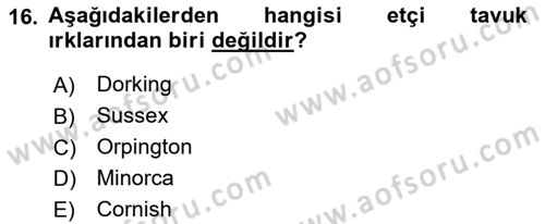 Hayvan Yetiştirme Dersi 2018 - 2019 Yılı Yaz Okulu Sınav Soruları 16. Soru