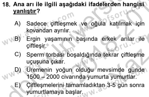 Hayvan Yetiştirme Dersi 2018 - 2019 Yılı Yaz Okulu Sınav Soruları 18. Soru