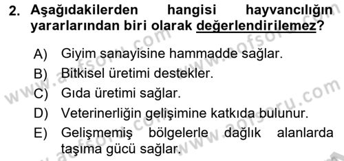 Hayvan Yetiştirme Dersi 2018 - 2019 Yılı Yaz Okulu Sınav Soruları 2. Soru