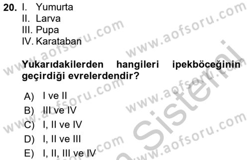 Hayvan Yetiştirme Dersi 2018 - 2019 Yılı Yaz Okulu Sınav Soruları 20. Soru