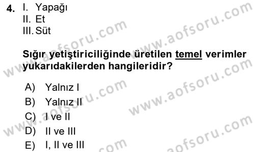 Hayvan Yetiştirme Dersi 2018 - 2019 Yılı Yaz Okulu Sınav Soruları 4. Soru
