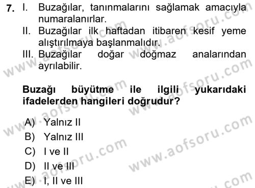 Hayvan Yetiştirme Dersi 2018 - 2019 Yılı Yaz Okulu Sınav Soruları 7. Soru