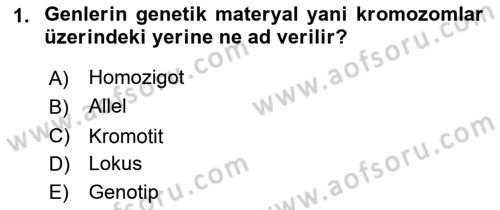 Hayvan Yetiştirme Dersi 2019 - 2020 Yılı (Vize) Ara Sınav Soruları 1. Soru