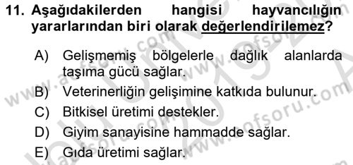 Hayvan Yetiştirme Dersi 2019 - 2020 Yılı (Vize) Ara Sınav Soruları 11. Soru