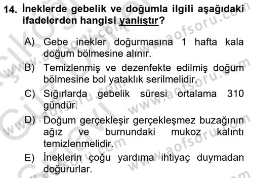 Hayvan Yetiştirme Dersi 2019 - 2020 Yılı (Vize) Ara Sınav Soruları 14. Soru