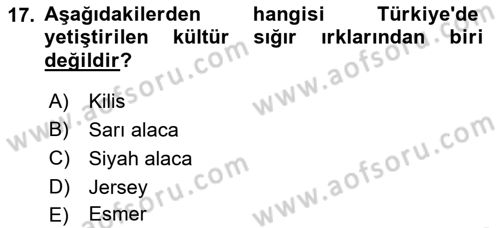 Hayvan Yetiştirme Dersi 2019 - 2020 Yılı (Vize) Ara Sınav Soruları 17. Soru
