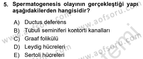 Hayvan Yetiştirme Dersi 2019 - 2020 Yılı (Vize) Ara Sınav Soruları 5. Soru