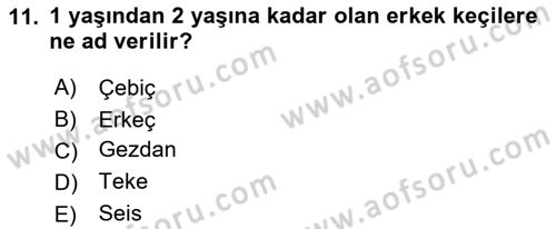 Hayvan Yetiştirme Dersi 2019 - 2020 Yılı (Final) Dönem Sonu Sınav Soruları 11. Soru