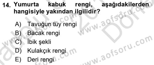 Hayvan Yetiştirme Dersi 2019 - 2020 Yılı (Final) Dönem Sonu Sınav Soruları 14. Soru