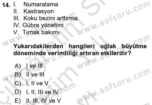 Hayvan Yetiştirme Dersi 2020 - 2021 Yılı Yaz Okulu Sınavı 14. Soru