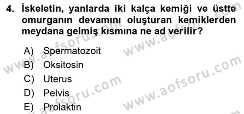 Hayvan Yetiştirme Dersi 2020 - 2021 Yılı Yaz Okulu Sınavı 4. Soru