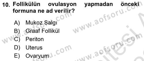 Hayvan Yetiştirme Dersi Ara Sınavı Deneme Sınav Soruları 10. Soru