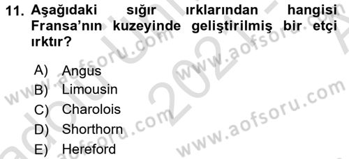 Hayvan Yetiştirme Dersi Ara Sınavı Deneme Sınav Soruları 11. Soru